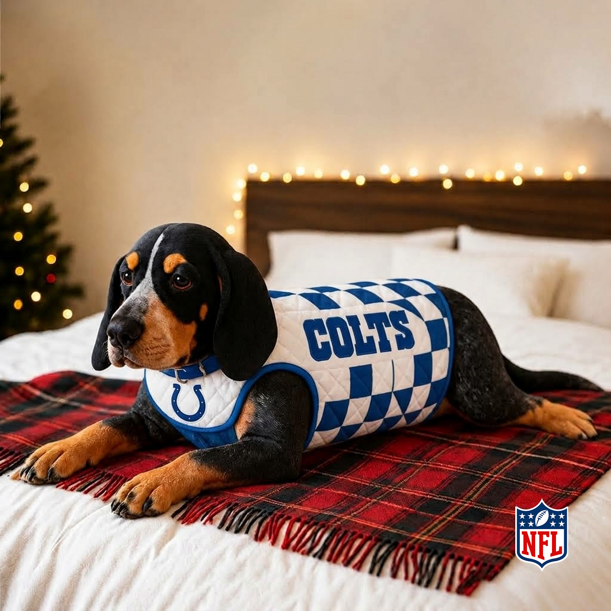 IND x NFL LUXURIOUS PLUSH PILLOW