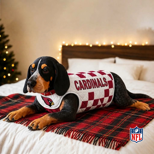 ARI x NFL LUXURIOUS PLUSH PILLOW