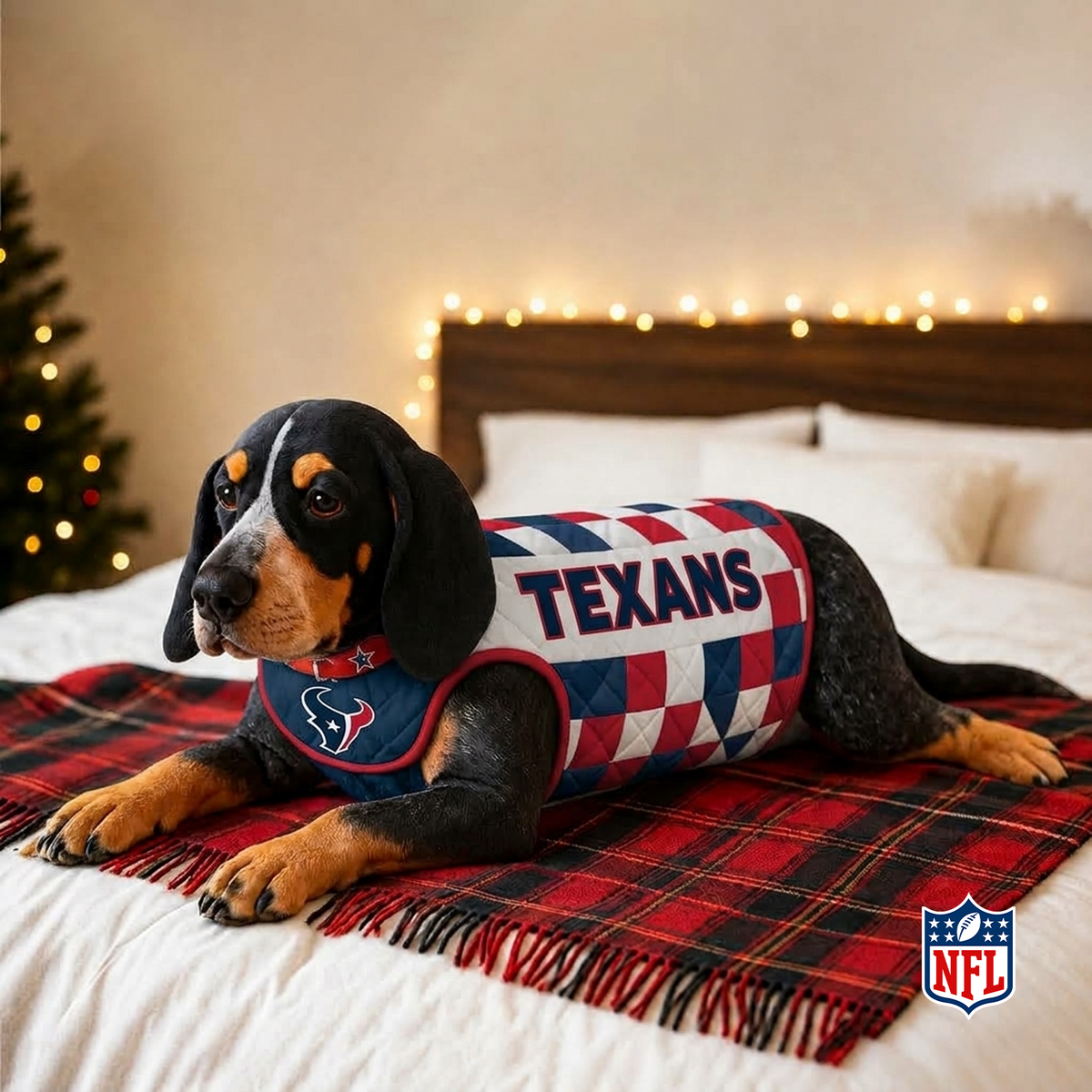 HOU x NFL LUXURIOUS PLUSH PILLOW