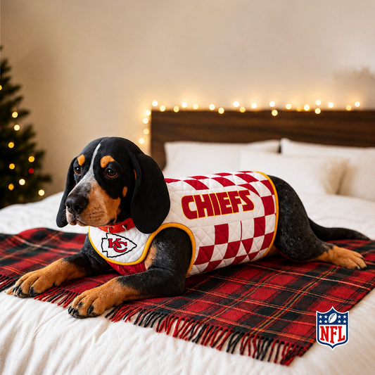 KCC x NFL LUXURIOUS PLUSH PILLOW