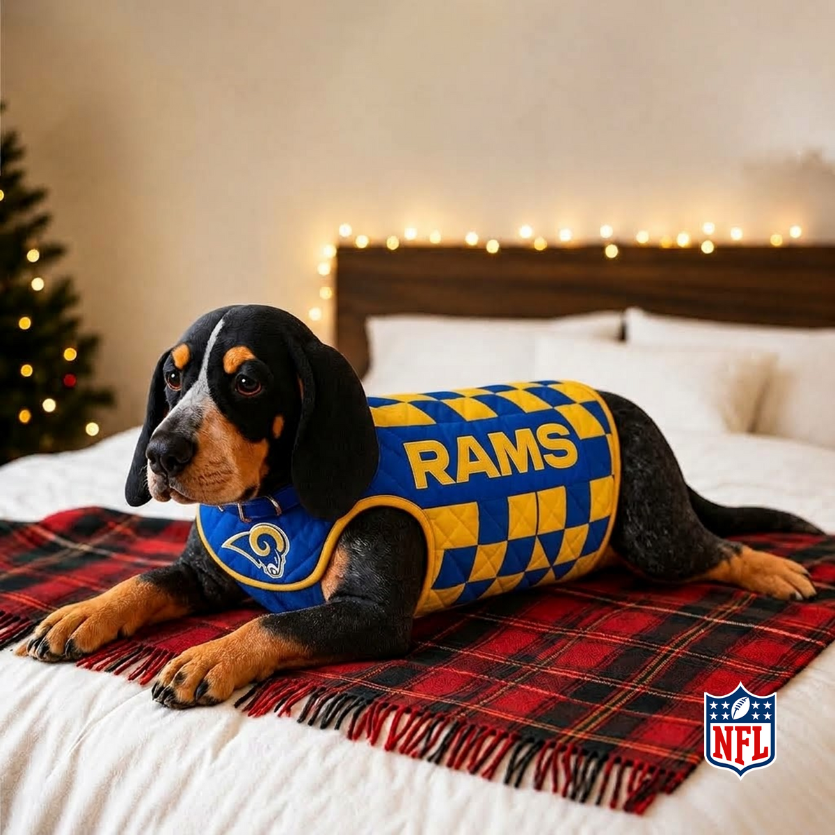 LAR x NFL LUXURIOUS PLUSH PILLOW
