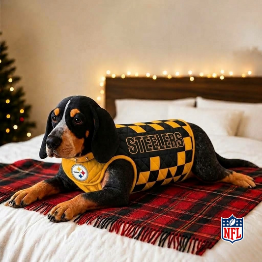 PIT x NFL LUXURIOUS PLUSH PILLOW