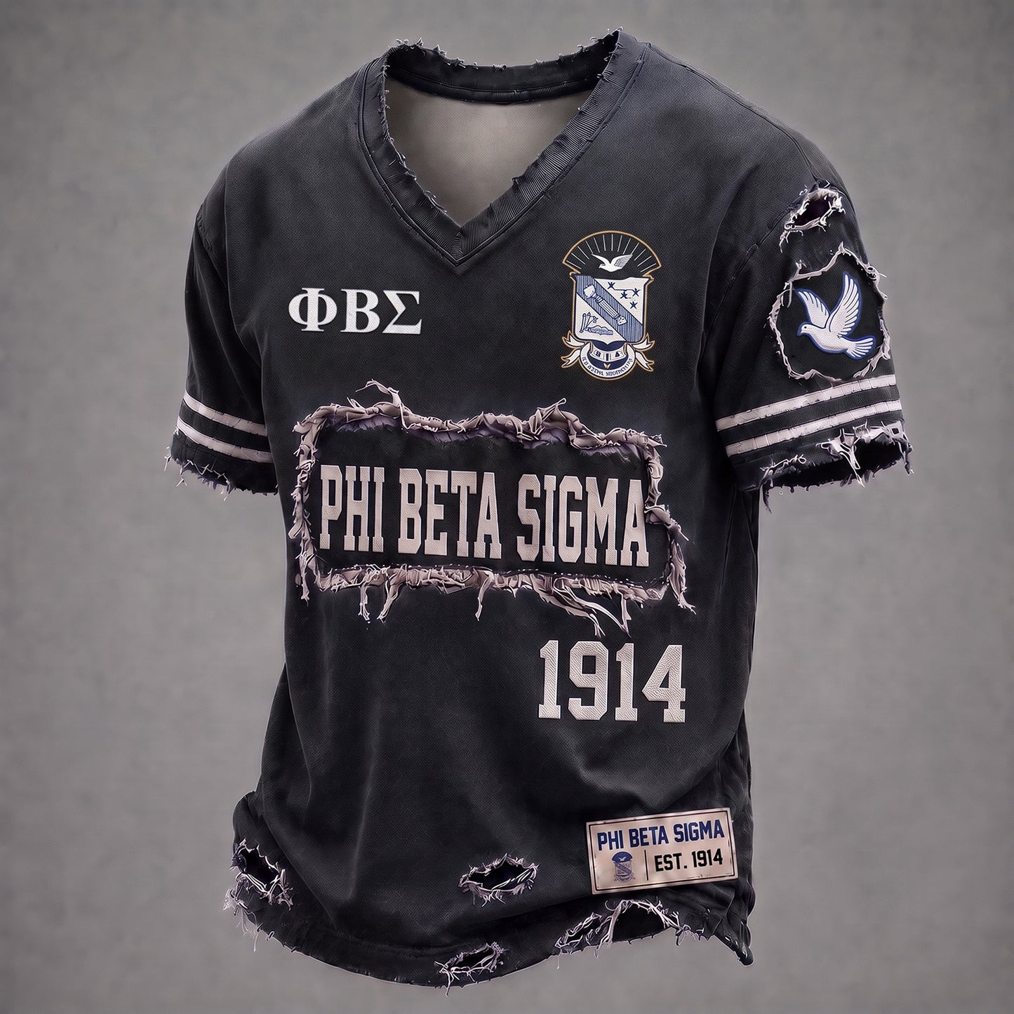 PREMIUM SIGMA X PBS EXCLUSIVE VNECK-TSHIRT NDT NHM 240726