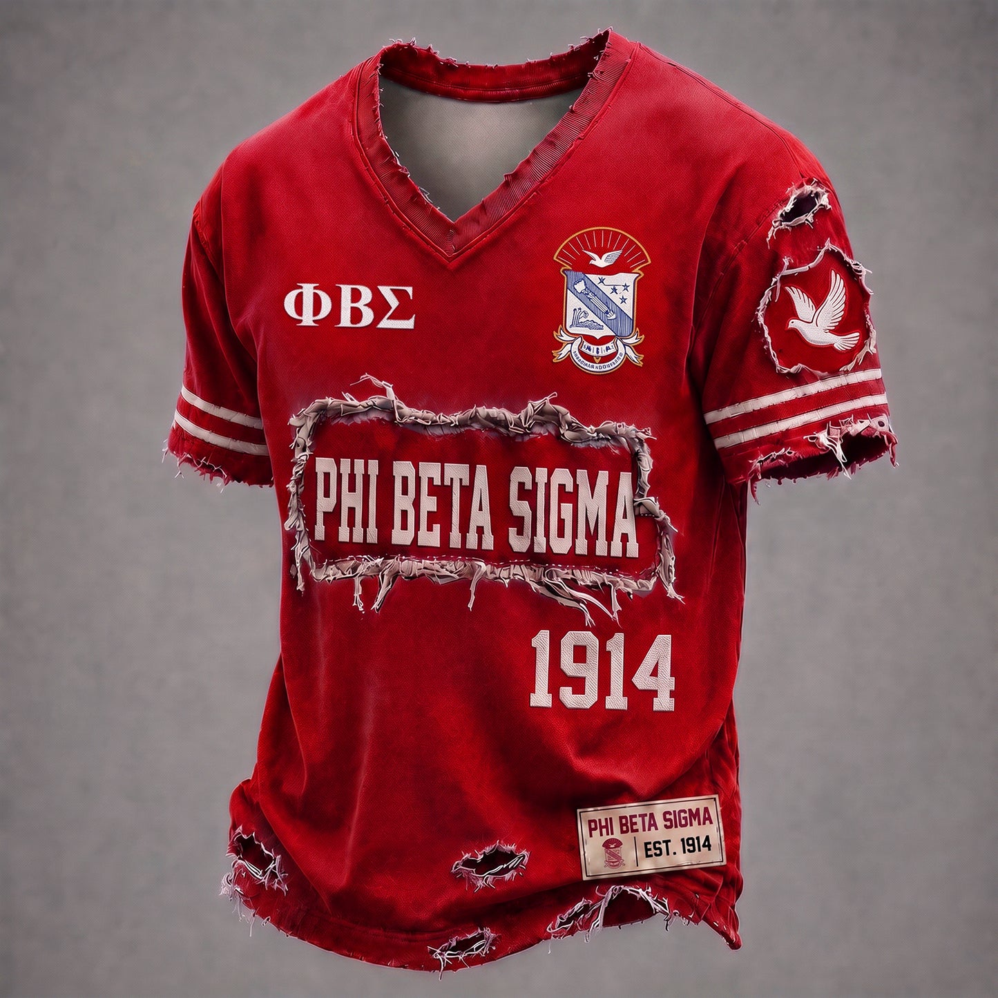 PREMIUM SIGMA X PBS EXCLUSIVE VNECK-TSHIRT NDT NHM 240726