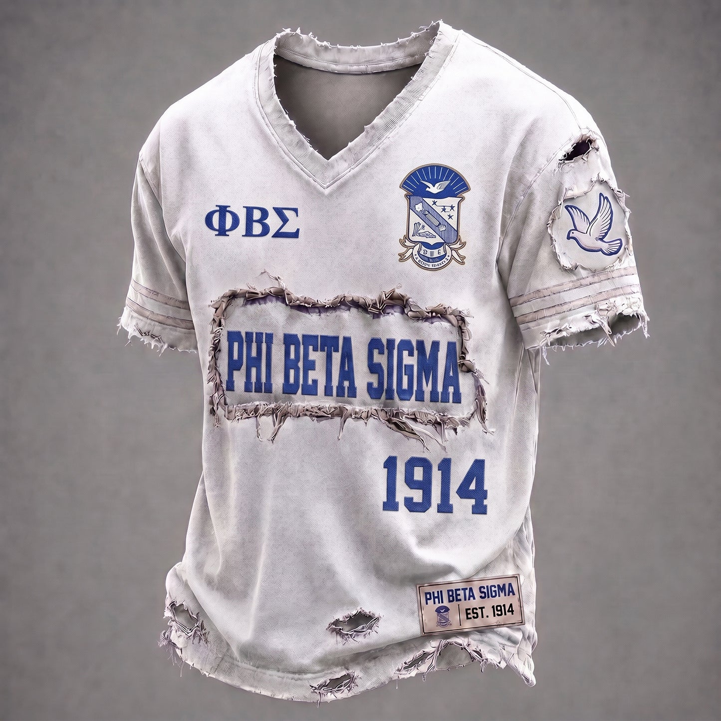 PREMIUM SIGMA X PBS EXCLUSIVE VNECK-TSHIRT NDT NHM 240726